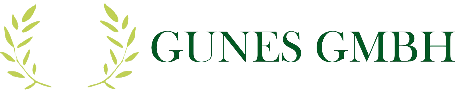 Gunes GMBH